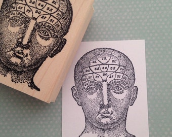 Diagramed Head  Wood Mounted Rubber Stamp  5363