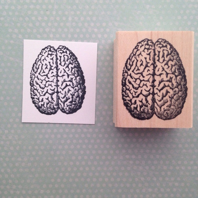 Brain Wood Mounted Rubber Stamp 4740 Etsy