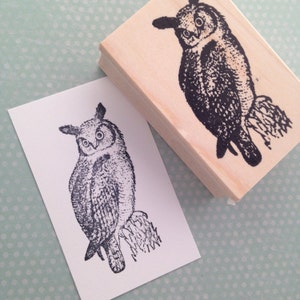 May include: A black and white illustration of an owl perched on a branch. The owl has large, round eyes and feathery wings. The illustration is printed on a wooden block.