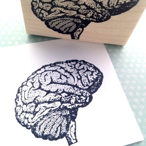 May include: A black and white illustration of a human brain. The brain is detailed with a stippled pattern and is printed on a white card.