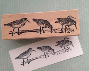 Four Sandpipers  Wood Mounted Rubber Stamp 4593