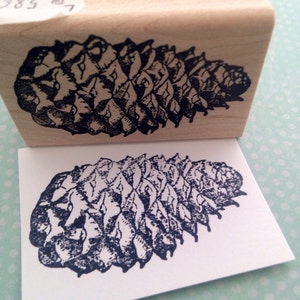 Op de afbeelding: Een zwart-witte illustratie van een dennenappel op een witte achtergrond. De dennenappel is gedetailleerd en realistisch.