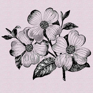 Dogwood Flower Bloom Rubber Stamp 3815T image 3