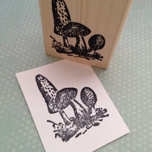 Gruppe von Pilzen Holz montierte Stempel 5291 Q