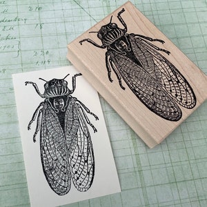 Large Cicada Rubber Stamp by 100 Proof Press 5663