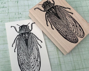 Large Cicada Rubber Stamp by 100 Proof Press 5663