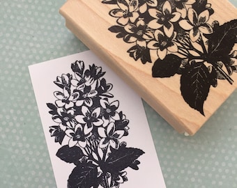 Könnte beinhalten: Eine Schwarzweißillustration eines Blumenstraußes mit Blättern. Das Bild ist auf einem Holzblock gedruckt.