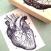 see more listings in the Anatomy & People Stamps section