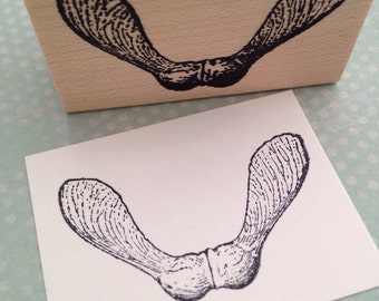 May include: A black and white illustration of two maple tree seeds, also known as samaras, on a white background. The seeds are in the shape of a V, with the pointed ends facing up.