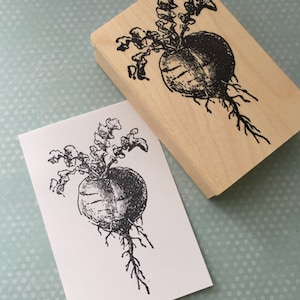 Large Beet Root Vegetable Rubber Stamp 6673