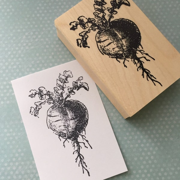 Large Beet Root Vegetable Rubber Stamp 6673