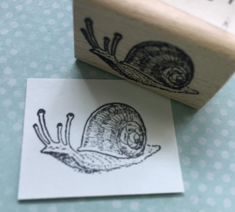 Small Snail Rubber Stamp Snail Mail Stamp Animal Stamp Snail Etsy