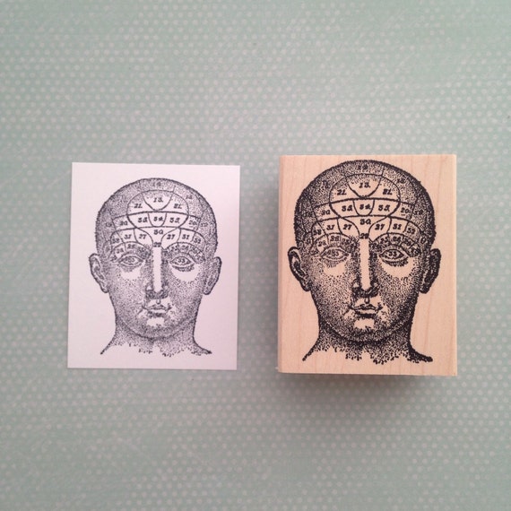 Shop — Magnuson custom stamps