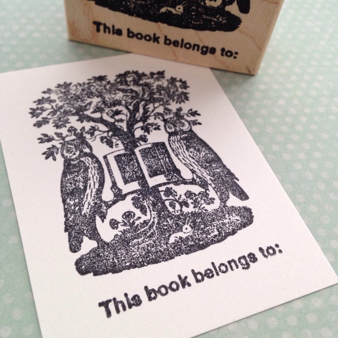 Owl Book Plate Rubber Stamp 6412