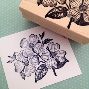 Dogwood Flower Bloom Rubber Stamp 3815T