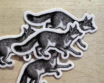 Foxy Fox Sticker