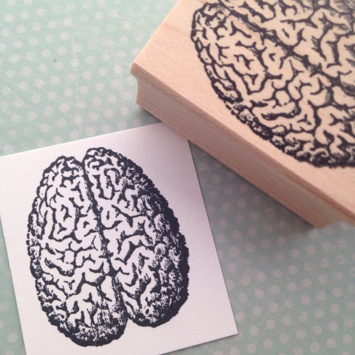 Brain Wood Mounted Rubber Stamp 4740 Etsy
