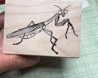 Praying Mantis Rubber Stamp 6871