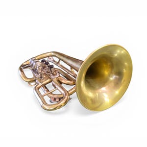May include: A brass baritone horn with a large bell and intricate tubing. The instrument has a shiny, golden finish and is set against a white background. The valves and slides are visible, indicating a wind instrument.