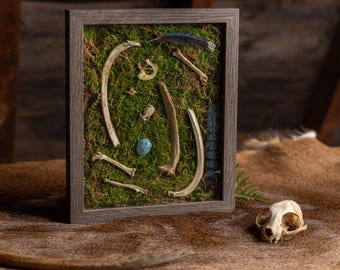 Gifts from the Forests floor