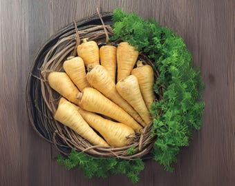 100 Parsnip All American Seeds: Heirloom Root Vegetable, Sweet Nutty Flavor