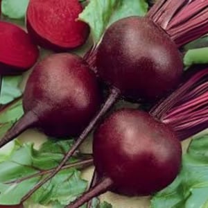 May include: Close-up of fresh beets with deep red-purple bulbs, green leaves, and long, thin root tails. One beet is sliced in half, revealing its vibrant interior. The image showcases the natural colors and textures of the root vegetables.