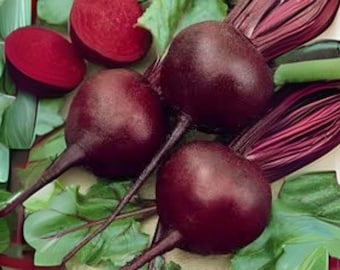 May include: Close-up of fresh beets with deep red-purple bulbs, green leaves, and long, thin root tails. One beet is sliced in half, revealing its vibrant interior. The image showcases the natural colors and textures of the root vegetables.