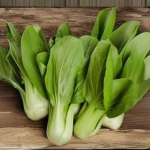 Dwarf Pak Choi Seeds: Baby Bok Choy, Stir Fry Greens (180 Seeds)