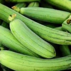 May include: A collection of fresh, light green luffa gourds with smooth, elongated cylindrical shapes and subtle longitudinal ridges. Each gourd features a small, dried brownish stem remnant at one end, showcasing a natural, raw appearance.