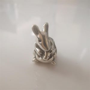 May include: A small, silver-colored rabbit figurine. The bunny is in a seated position with its ears perked up. The figurine has detailed features, including eyes, nose, and paws. The rabbit is a charming decorative item.