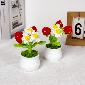 May include: Two crochet strawberry flower arrangements in white ceramic pots. Each arrangement features red strawberries, white and yellow flowers, and green leaves. The pots are filled with green moss.