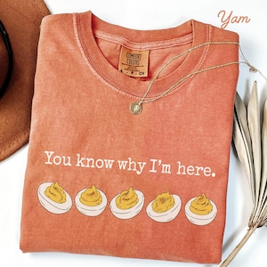 May include: A terracotta-colored crew neck t-shirt featuring the white text "You know why I'm here." above a graphic of five deviled eggs. The shirt has a Comfort Colors brand label at the inner neckline and is displayed with a gold-toned necklace.