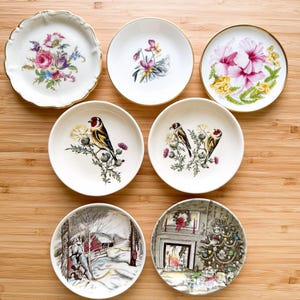 May include: A collection of seven round ceramic plates featuring diverse illustrations including a floral bouquet, purple pansies, pink hibiscus flowers, goldfinch birds on thistles, a snowy winter landscape, and a festive holiday fireplace scene.