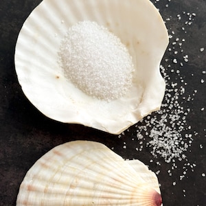 May include: Two off-white, ribbed scallop shells. One shell is open and contains a mound of coarse white sea salt, while the other shell is closed and positioned below it. Scattered white salt crystals surround the shells.