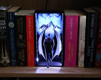 Shadow Warrior Book Nook - Romantasy-boekenplankinzet met ledverlichting, gepersonaliseerd cadeau voor boekenliefhebber