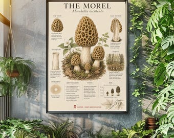 Gourmet Kitchen Decor, Rustic Cabin Print, Morel Hunting Gift for Him, Vintage Mycology Poster, Morel Mushroom Wall Art