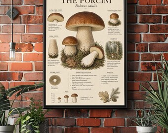 Gourmet Kitchen Decor, Rustic Cabin Print, Foraging Gift for Him, Vintage Mycology Poster, Porcini Mushroom Wall Art