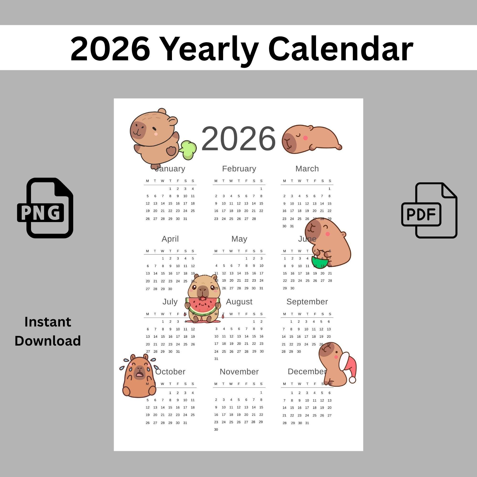 Calendrier mural de janvier 2025 à juin 2026, 18 mois académique mural 2025-2026, calendrier