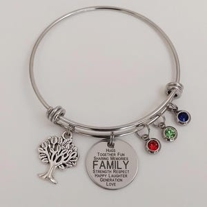 May include: A silver-toned bangle bracelet with a tree charm and a round charm engraved with the word "FAMILY" and related words. The bracelet also features three dangling charms with red, green, and blue gemstones.