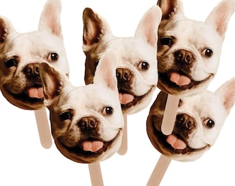 Pet Face Stick Digital File
