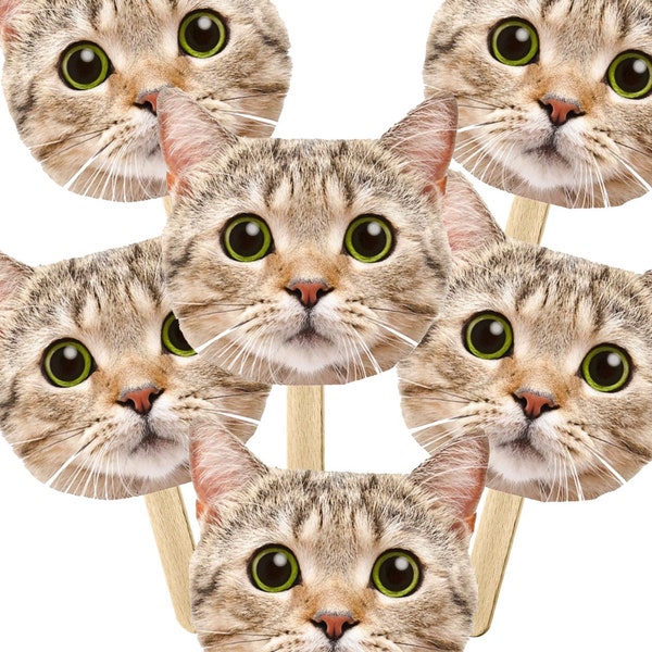 Cat Face Stick, Face On a Stick Prop, Cat Party, Cat Face on a Stick, Cat Decoration, Big Head on a Stick