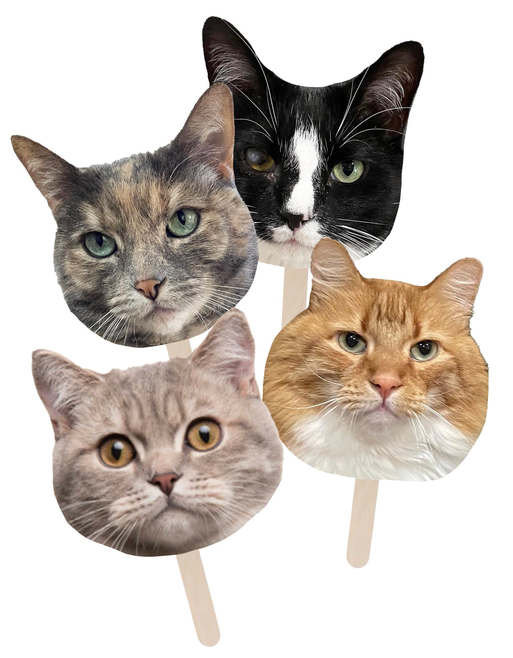 Cat Face Stick, Face On a Stick Prop, Cat Party, Cat Face on a Stick, Cat Decoration, Big Head on a Stick