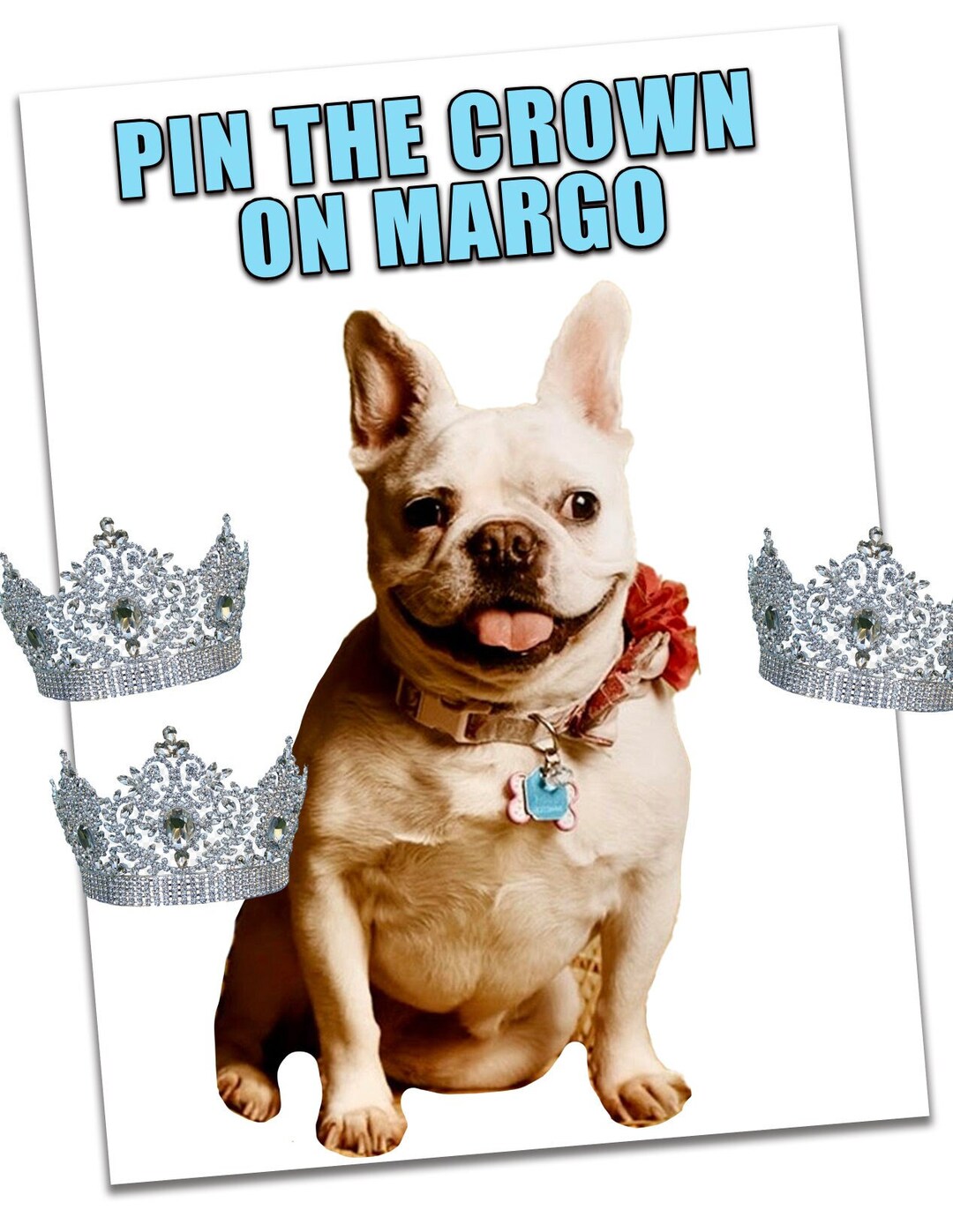 Custom Pin the Tail on the Donkey Game, Customizable Pin the Tail Game