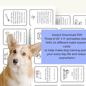 Può includere: Un cane Corgi è raffigurato di fronte a un set di schede stampabili per l'accumulo di abitudini. Le schede misurano 21,59 cm x 27,94 cm e includono 24 diversi esercizi di addestramento per cani.