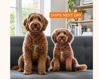 Custom Pet Photo Pillow,Personalized Gift,Dog Toy, Cat Bed Any Animal 1:1