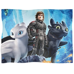 May include: A plush blanket featuring characters from the animated movie "How to Train Your Dragon." The design includes a white dragon, a black dragon, and a young man in armor against a blue and white background.