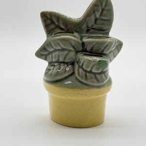 May include: A ceramic plant pot with a plant-like design, featuring green leaves and a yellow base. The leaves have detailed veining, and the pot has a smooth, glossy finish. A decorative item for the home.