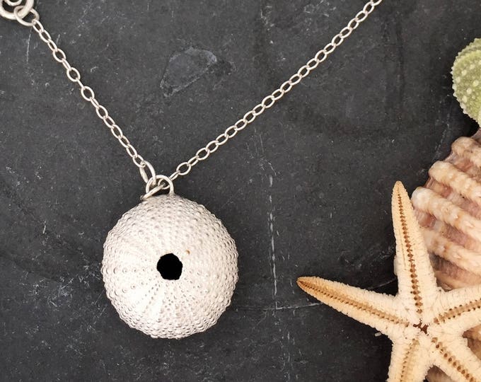 Large Sea Urchin Necklace with Seahorse Clasp, seashell, sea,