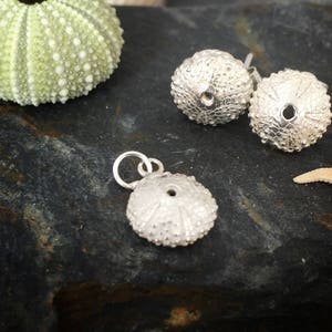Könnte beinhalten: Silberne Seeigel-Ohrringe und ein Anhänger. Die Ohrringe sind im Stecker-Stil und der Anhänger hat eine Schlaufe zum Anbringen an einer Halskette oder einem Armband.