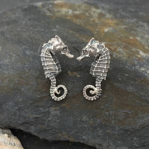 Seahorse earrings, ear studs, Silver seahorse